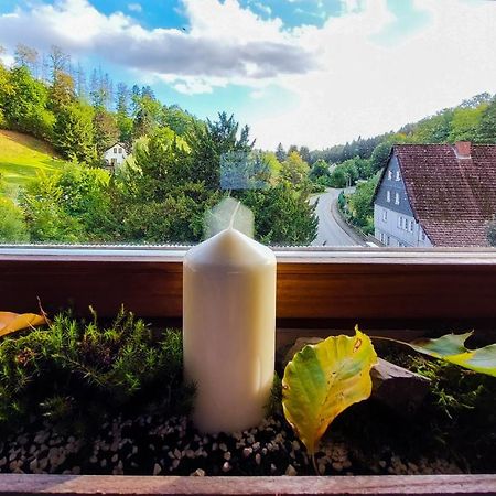 Gemuetliche Ferienwohnung Im Harz 바트그룬드 외부 사진