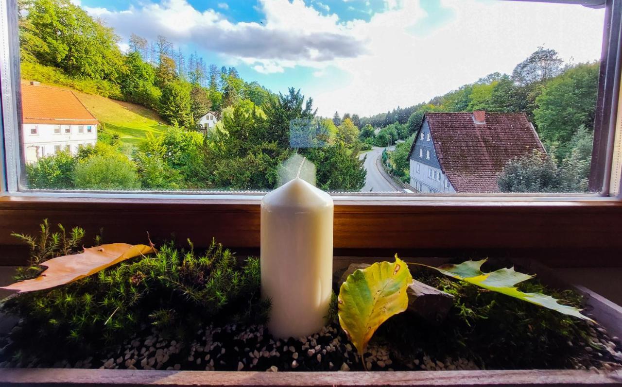 Gemuetliche Ferienwohnung Im Harz 바트그룬드 외부 사진