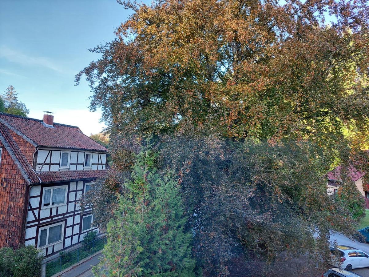 Gemuetliche Ferienwohnung Im Harz 바트그룬드 외부 사진